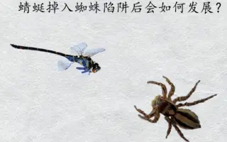 杀戮蜘蛛 搜索结果 哔哩哔哩 Bilibili