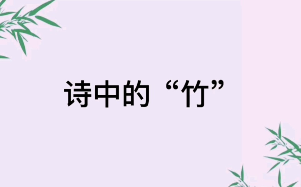 【诗中的“竹”】独坐幽篁里,弹琴复长啸.||那些关于竹子的优美诗句哔哩哔哩bilibili