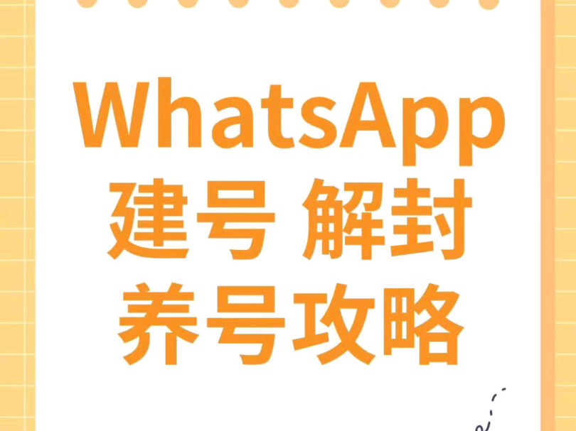 whatsapp使用全攻略哔哩哔哩bilibili