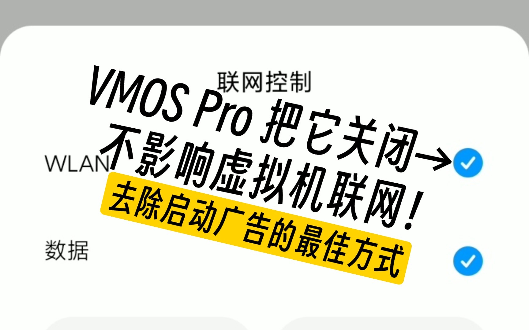 把 VMOS Pro 的联网权限关闭后,虚拟机仍然正常联网!去除启动广告的最佳方式!