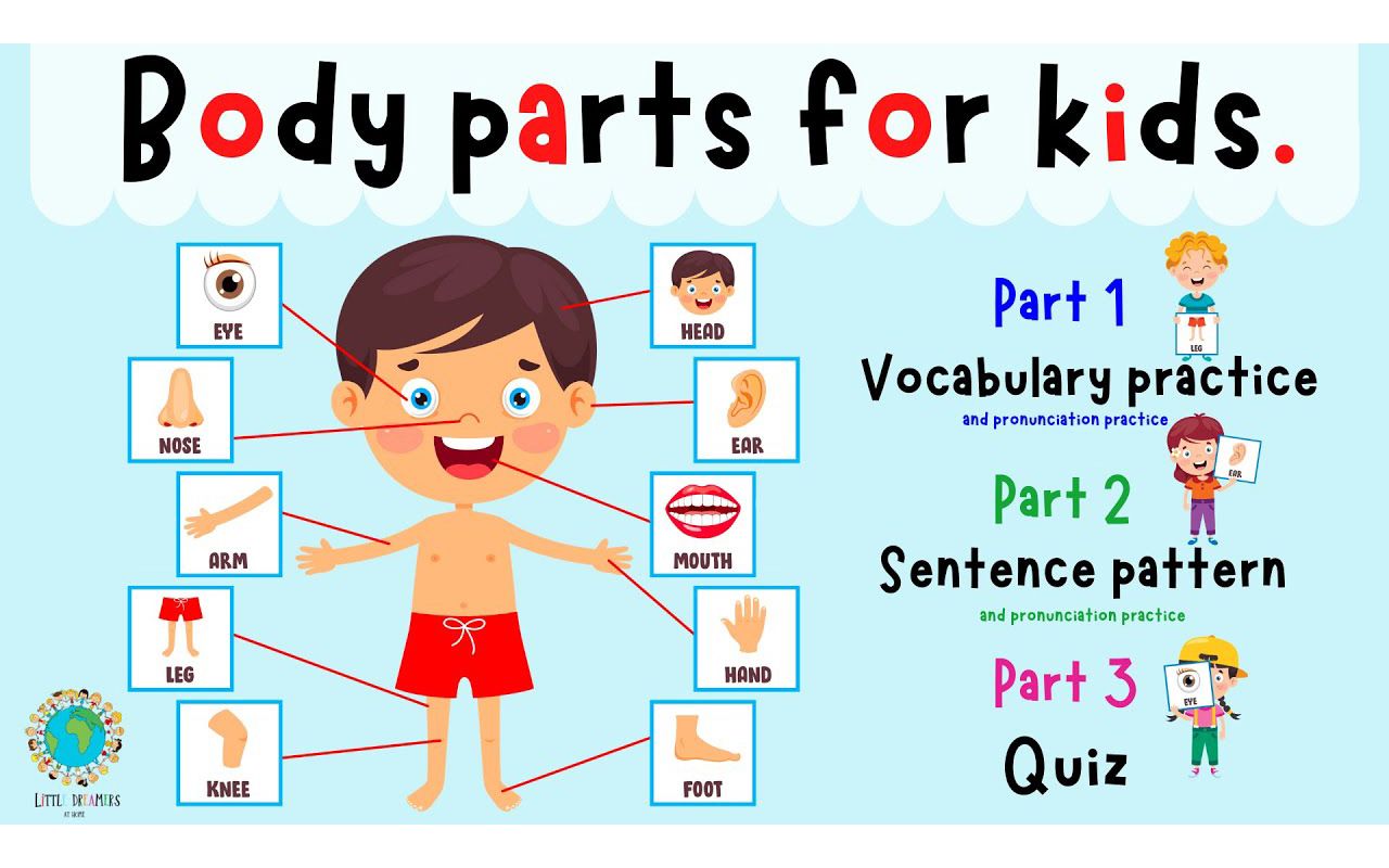 body parts for kids | learn parts of the body | body part quiz