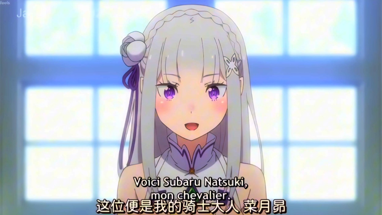 "爱蜜莉雅 独属于你的骑士"