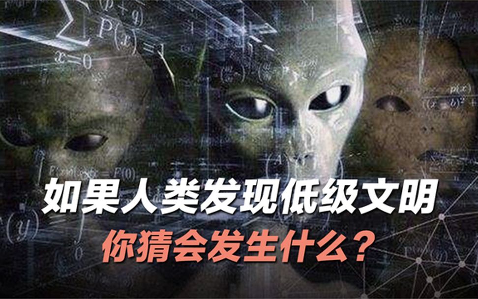 [图]假如人类发现一个低等文明，你才会发生什么？