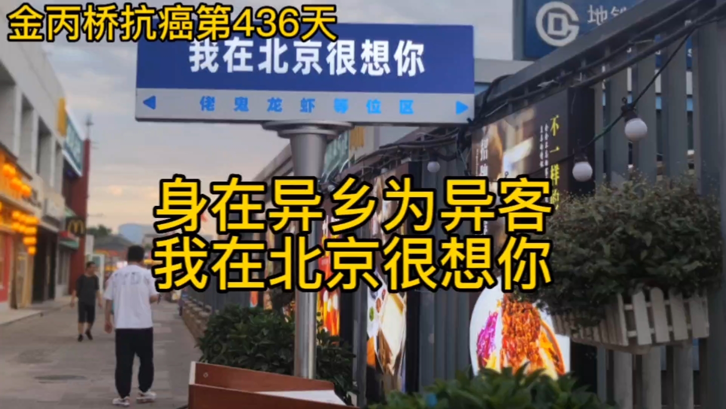 老金抗癌第436天,身在异乡为异客,我在北京很想你