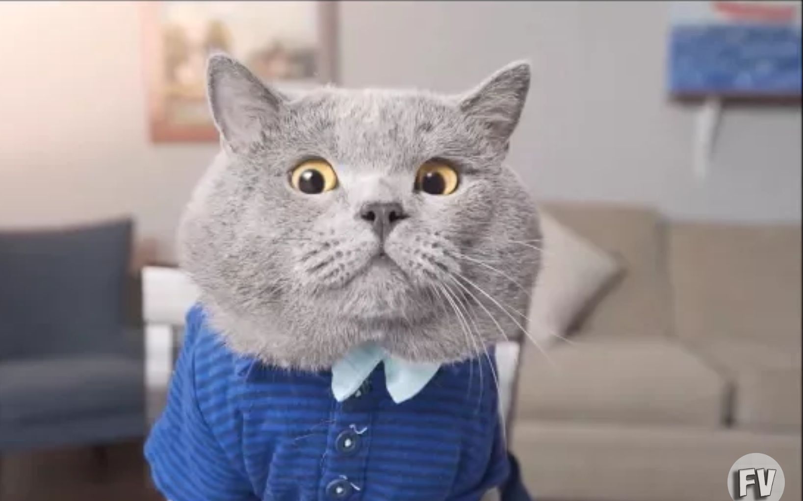 单身喵的悲伤-喵星人有趣视频