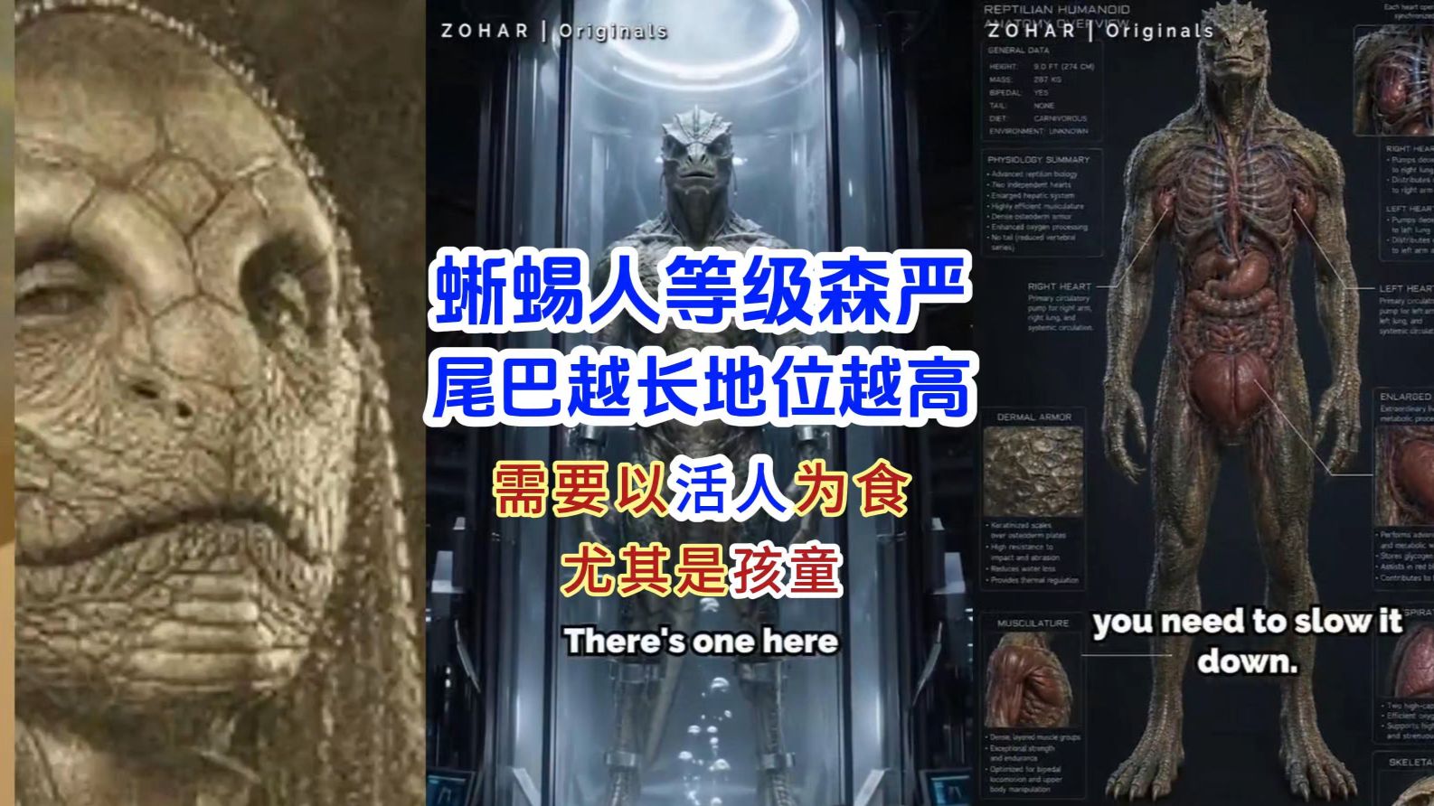 地底蜥蜴人以孩童为食 等级森严并拥有两个心脏