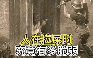 Tải video: 人在拉屎时有多脆弱？