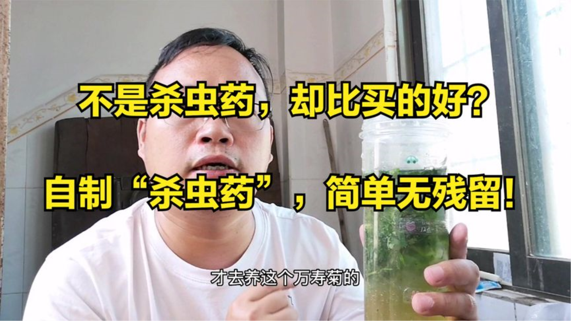 不是杀虫药,却比买的好?自制杀虫药,简单无残留哔哩哔哩bilibili