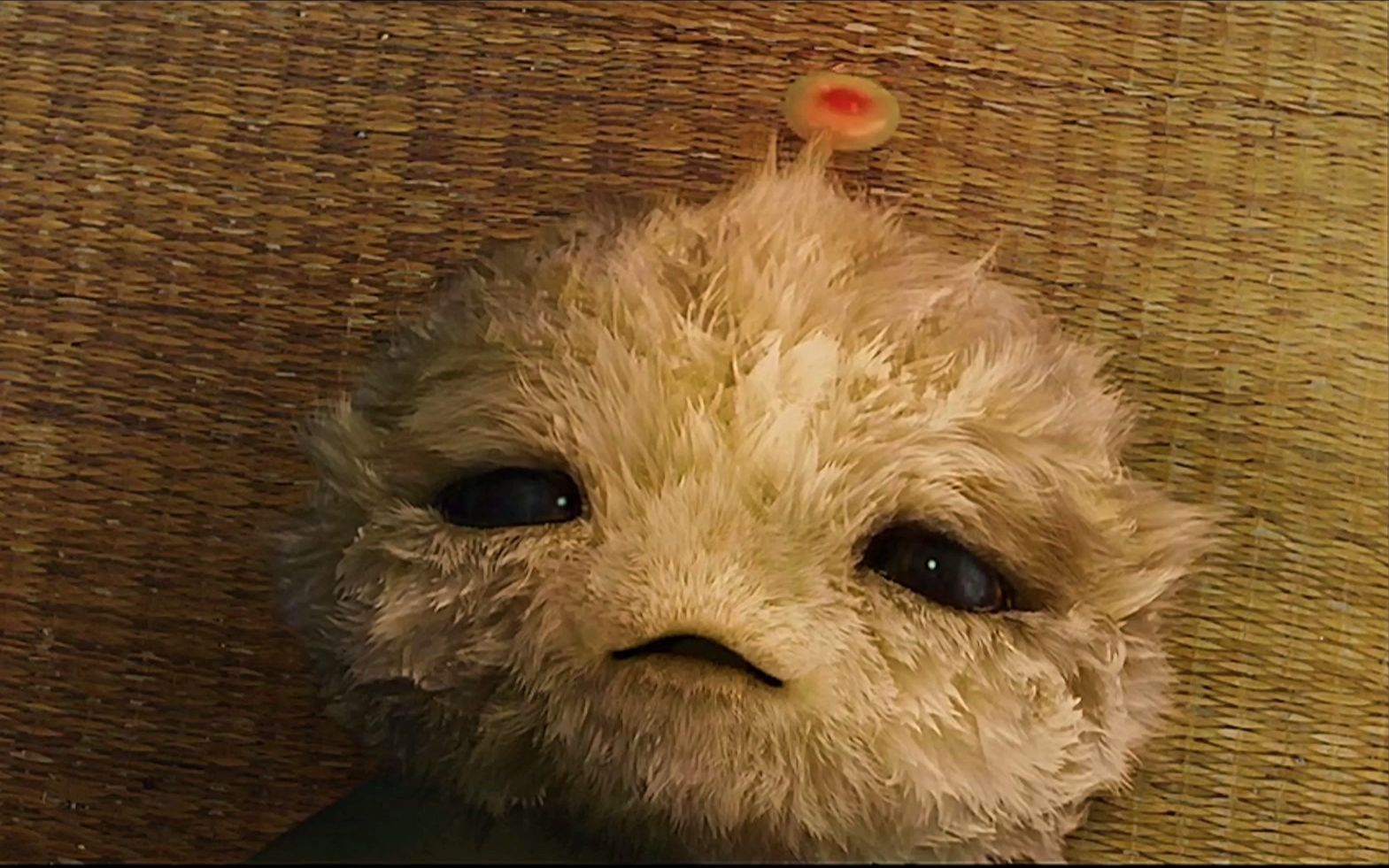 外星狗到底有多神奇,竟让好友父亲复活了,我看哭了!