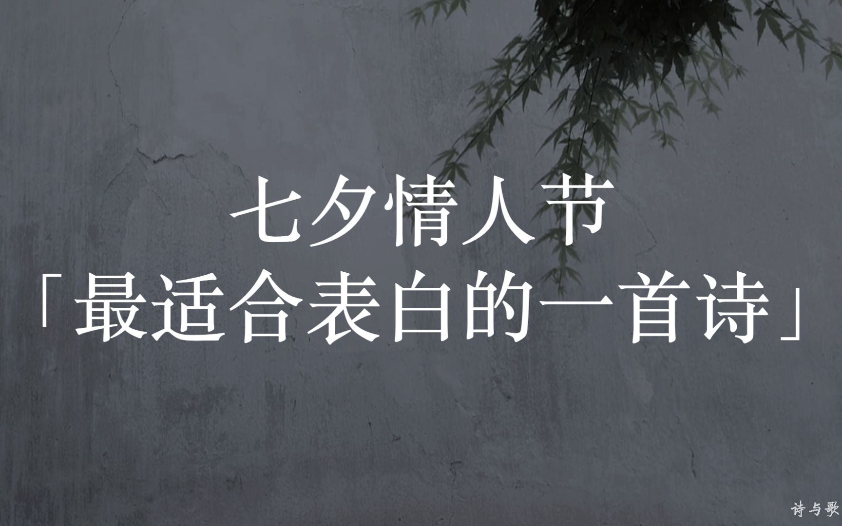 七夕情人节,最适合表白的一首诗!赶快去念给她听!「诗人、诗歌、读诗、朗读、节目」哔哩哔哩bilibili