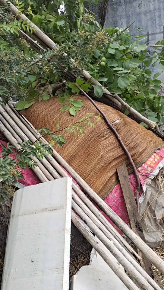 [图]无情的风雨