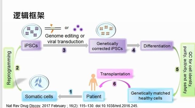 利用患者iPSC建立Dravet 综合征(婴儿严重肌阵挛性癫痫)病理模型展示哔哩哔哩bilibili