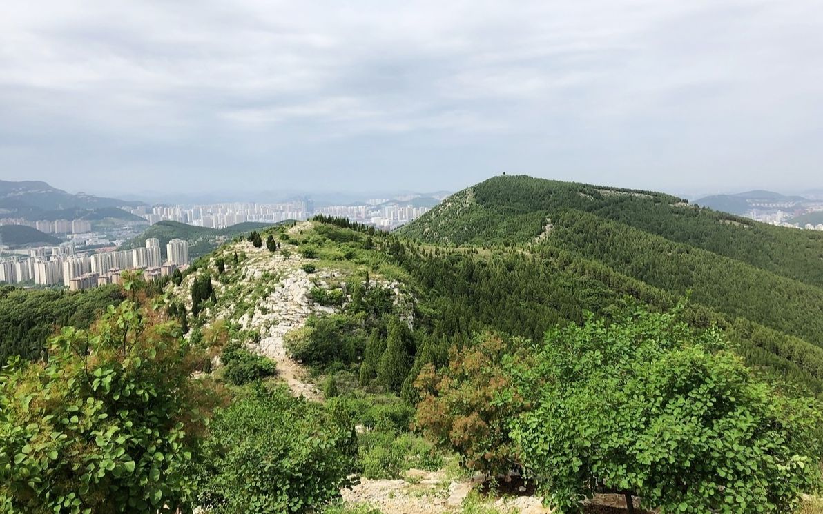 202054济南蚰蜒山蝎子山