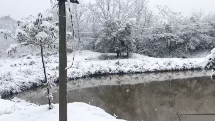 [图]昨晚又下雪了，好几年没下这么大的雪了，早上起来拉开窗帘，打开门，哇，映入眼帘的是白茫茫的一片..中国加油！冬奥健儿们加油！