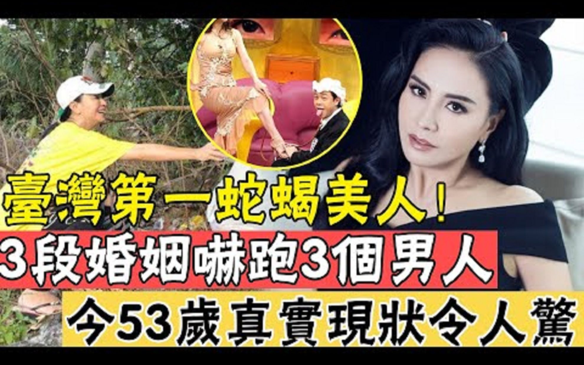 53岁蛇蝎美人田丽近况曝光,3婚3离无人敢娶,与马景涛分手内幕太惊人哔哩哔哩bilibili