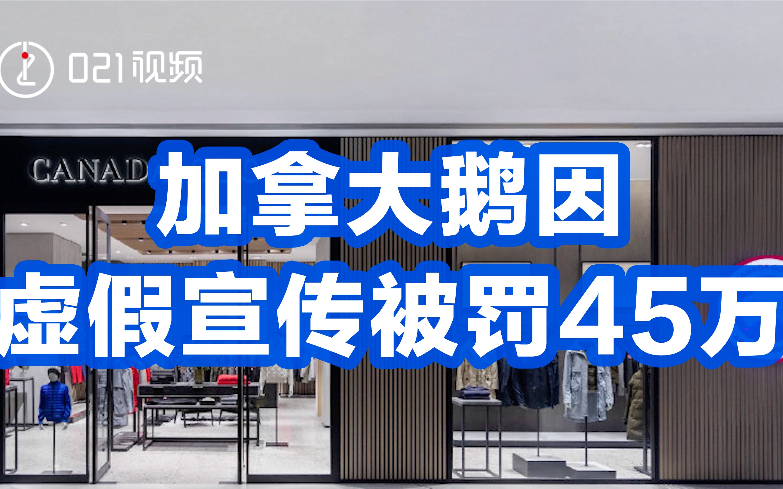 加拿大鹅因虚假宣传被罚45万:加拿大鹅羽绒服宣传用料与实际不符哔哩哔哩bilibili