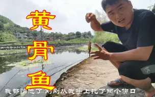 家里没菜下锅了，挖几条蚯蚓去河里钓鱼，丢下去瞬间就黑漂了！