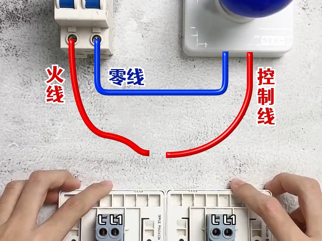 日光灯接线图实物图片