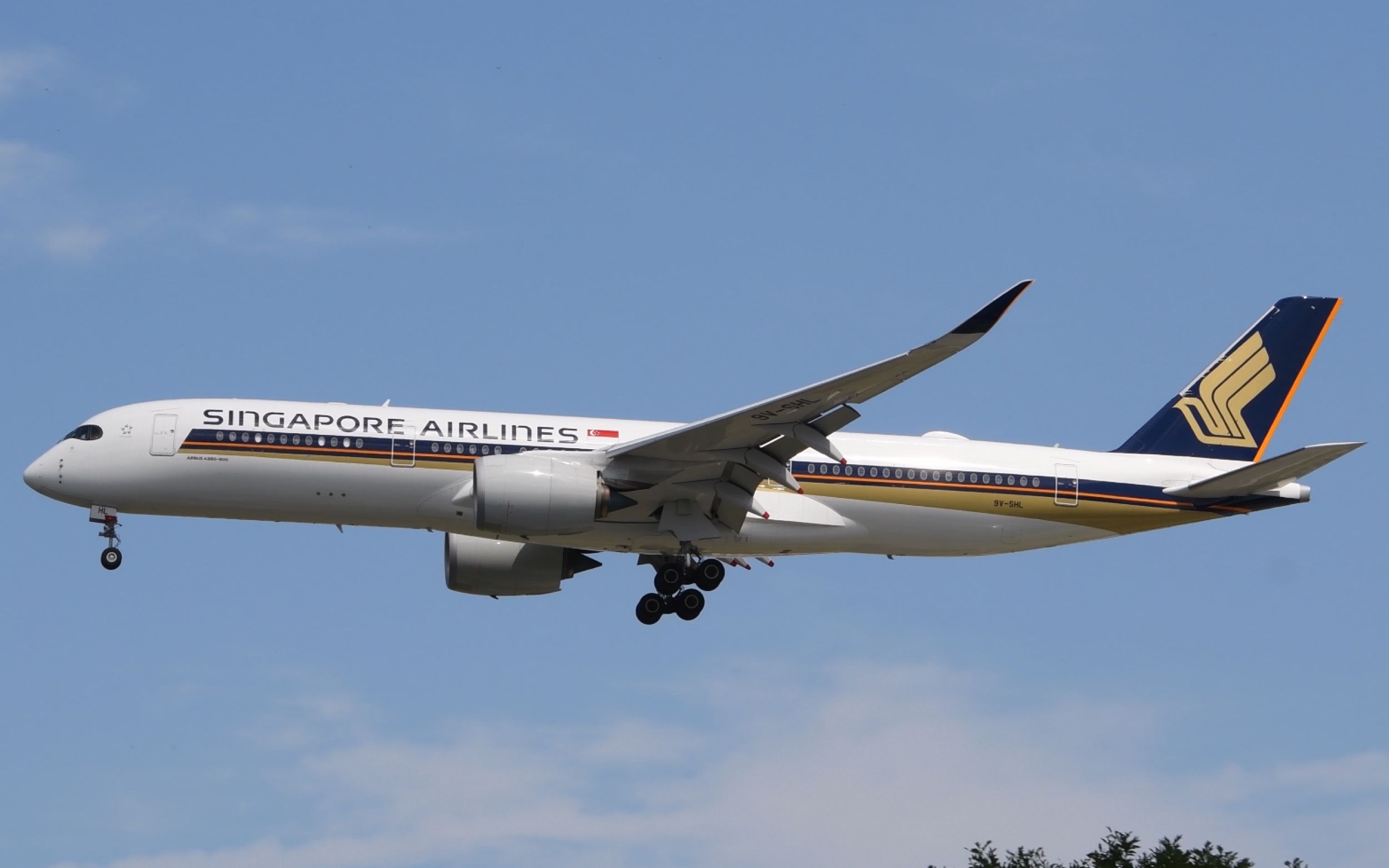 【4k】新加坡航空a350,海南航空a330降落首都机场_哔哩哔哩_bilibili