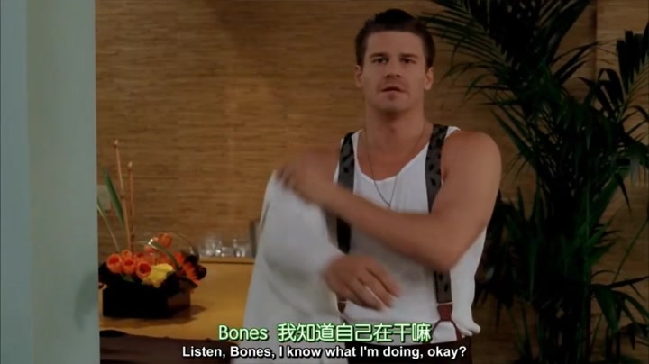 [图]【识骨寻踪】【BONES】 S2E8   BOOTH和BONES假扮夫妇