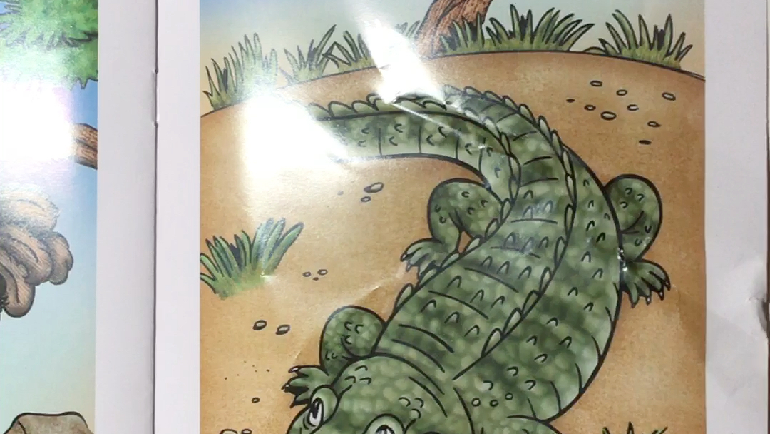 坚持打卡raz aa--plains animals_哔哩哔哩 (゜-゜)つロ 干杯~-bili