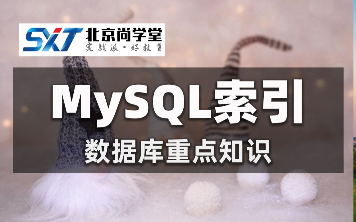 MySQL索引零基础到项目实战Java数据库MySQL索引详细视频教程MySQ快速入门必修课MySQL索引使用MySQL索引的理论MySQL面试题讲解哔哩...