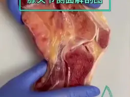 看看我们的膝关节是怎样活动的！