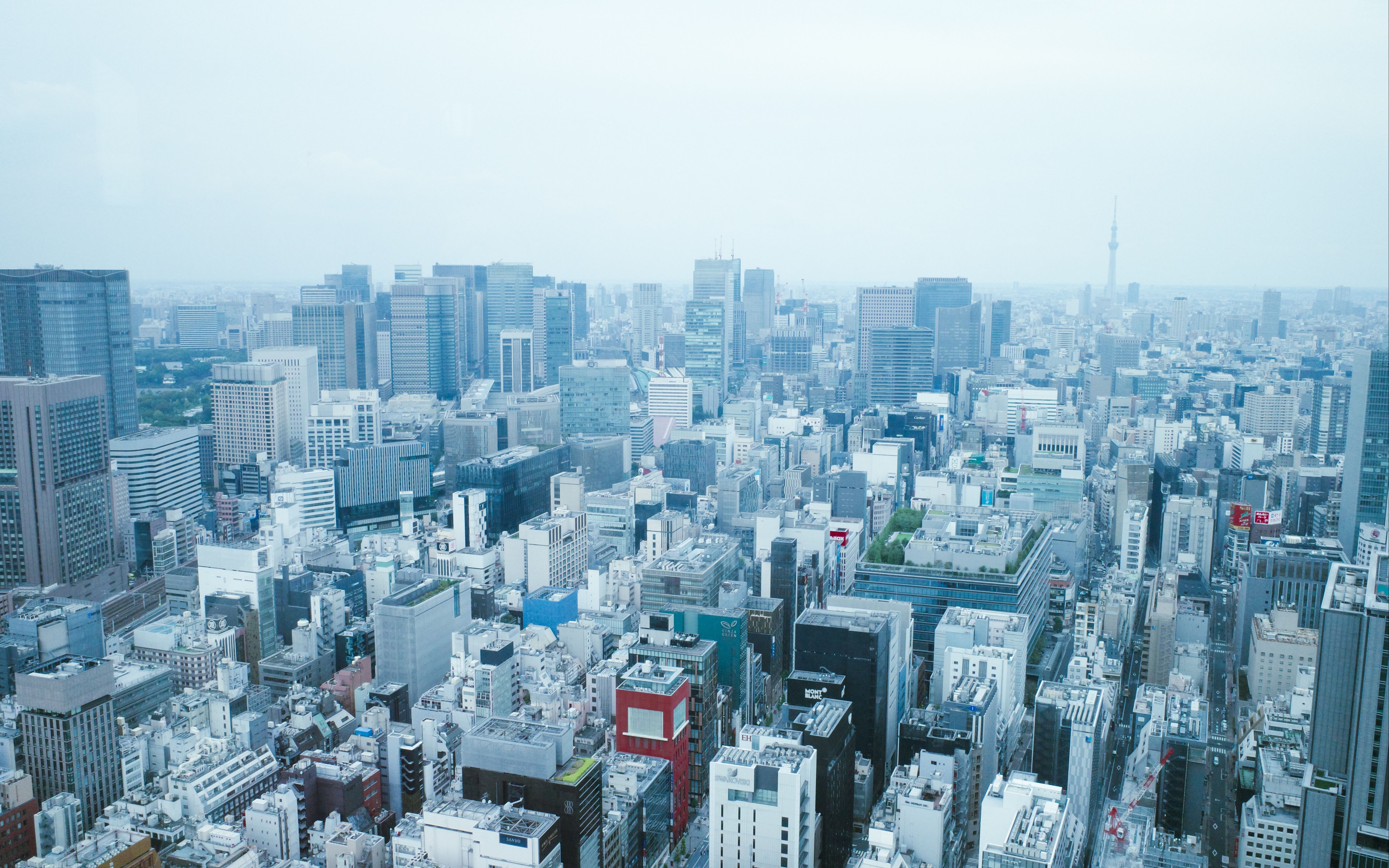 【第一视角】|拥抱朝阳|听j-pop看早晨城市的风景