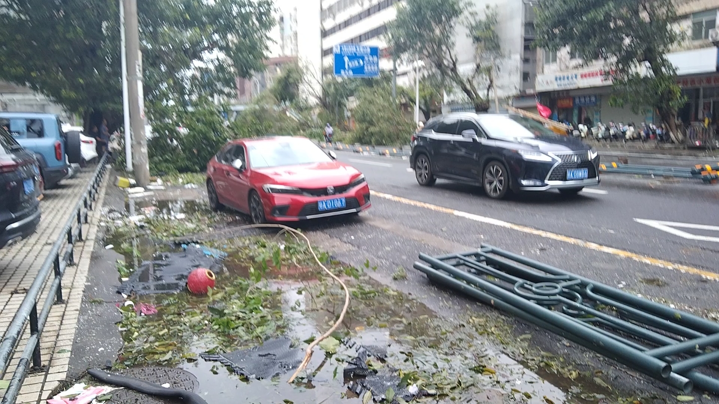 台风摩羯席卷后的海口街道3哔哩哔哩bilibili