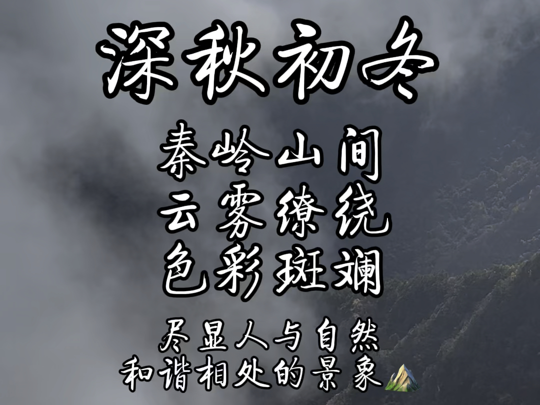 深秋初冬的秦岭山间云雾缭绕,色彩斑斓,尽显人与自然和谐相处的景象~#西安秦岭山哔哩哔哩bilibili