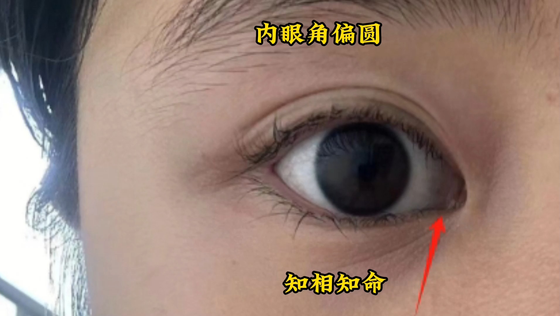 识人有术,内眼角偏圆