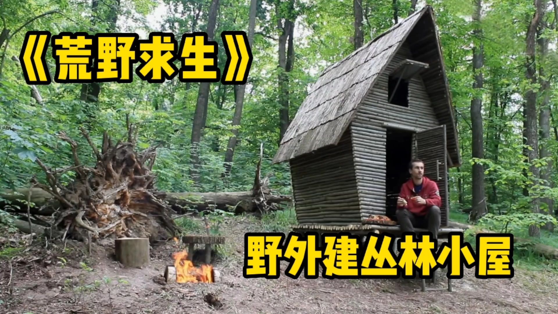 看荒野生存大师建造户外木屋,做烤鸡及花茶