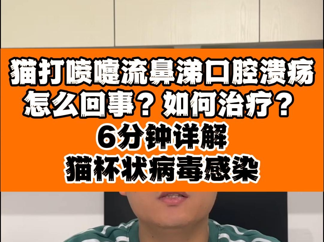 猫打喷嚏流鼻涕口腔舌头溃疡怎么回事?猫杯状病毒的症状及如何治疗?哔哩哔哩bilibili