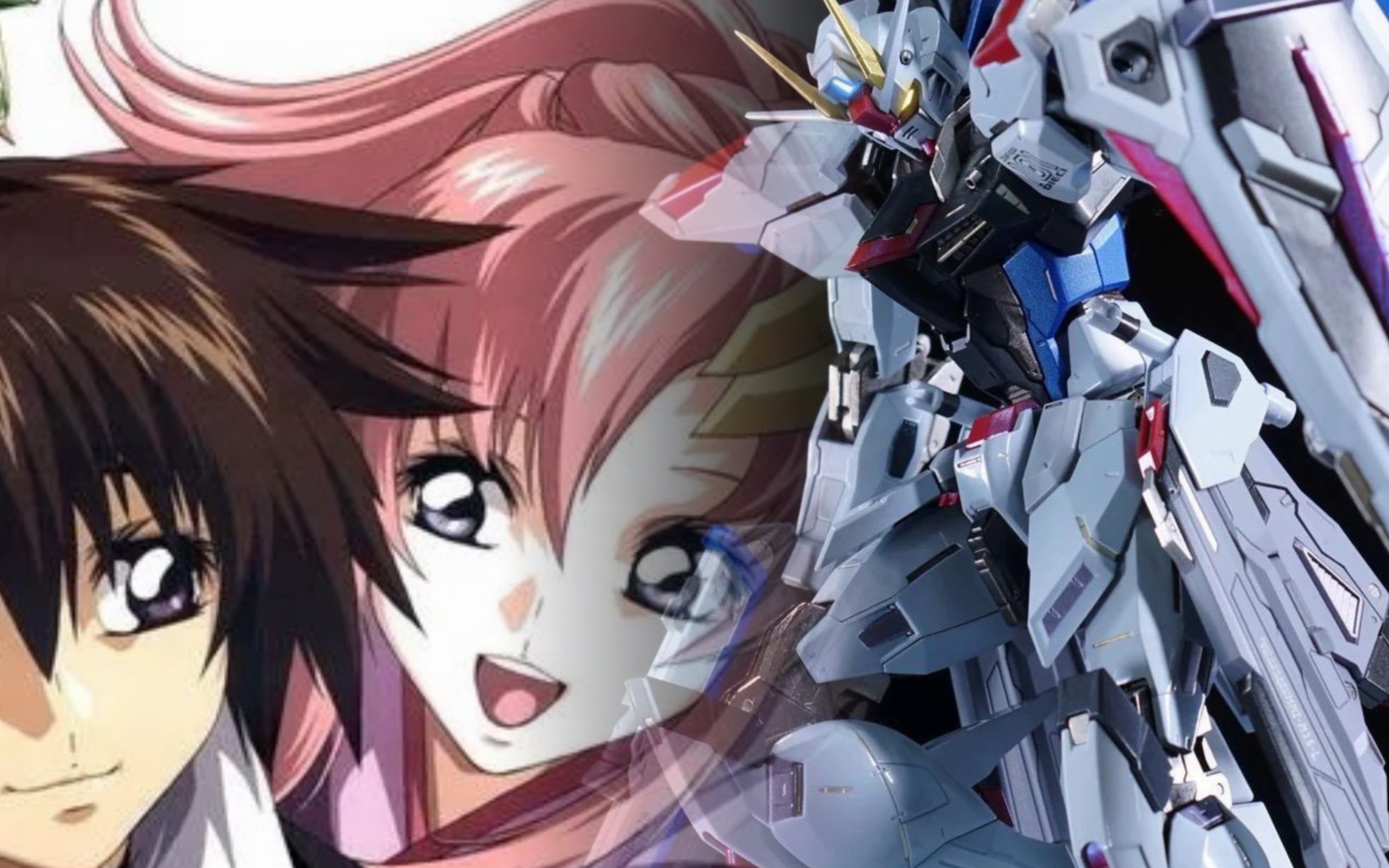 自由高达模型收藏展示(4k)当你的人生中出现"拉克丝",那么抓紧她,千万