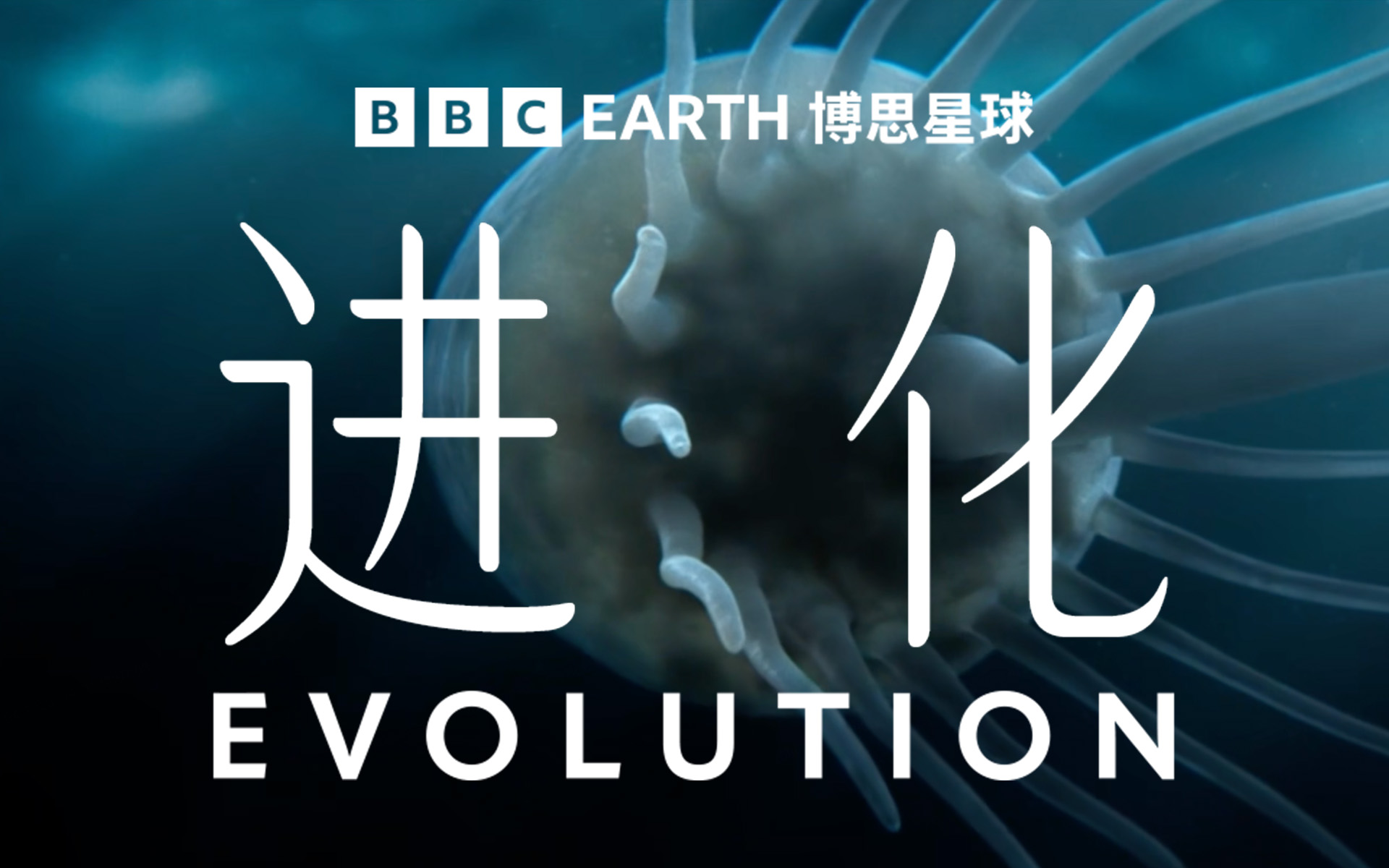 【纪录片】进化 01 从单细胞到大象