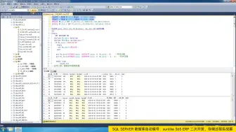 Download Video: SQL SERVER 数据库自动编号：sunlike 365 ERP 二次开发，存储过程实战篇：库调拨单、销货单自定义表，按业务员，年份分组编制编号