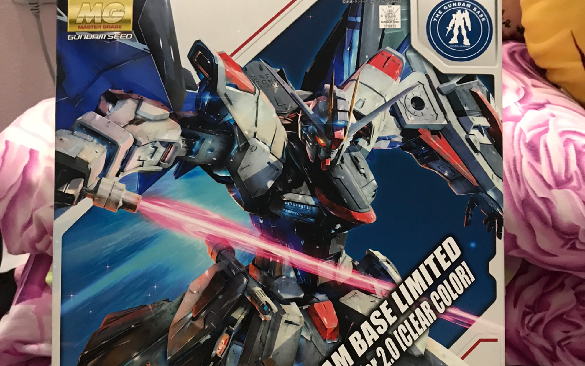 pandy的吃喝玩乐自由台场限定第一次拼高达纪念向