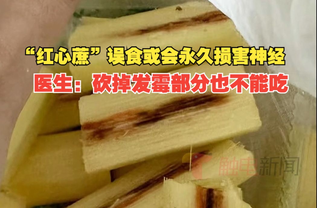 “红心蔗”误食或会永久损害神经,医生:即使砍掉发霉部分也不能吃哔哩哔哩bilibili