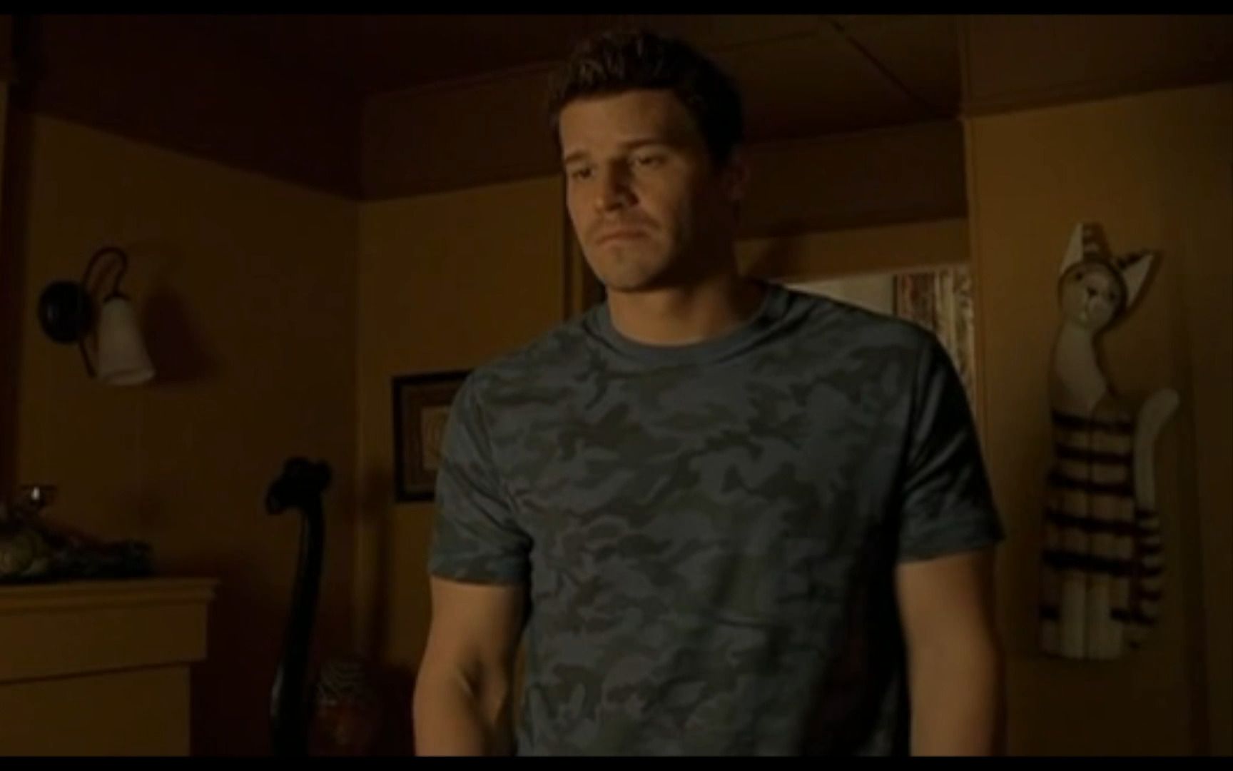 肌肉壮熊:David boreanaz these girls哔哩哔哩bilibili