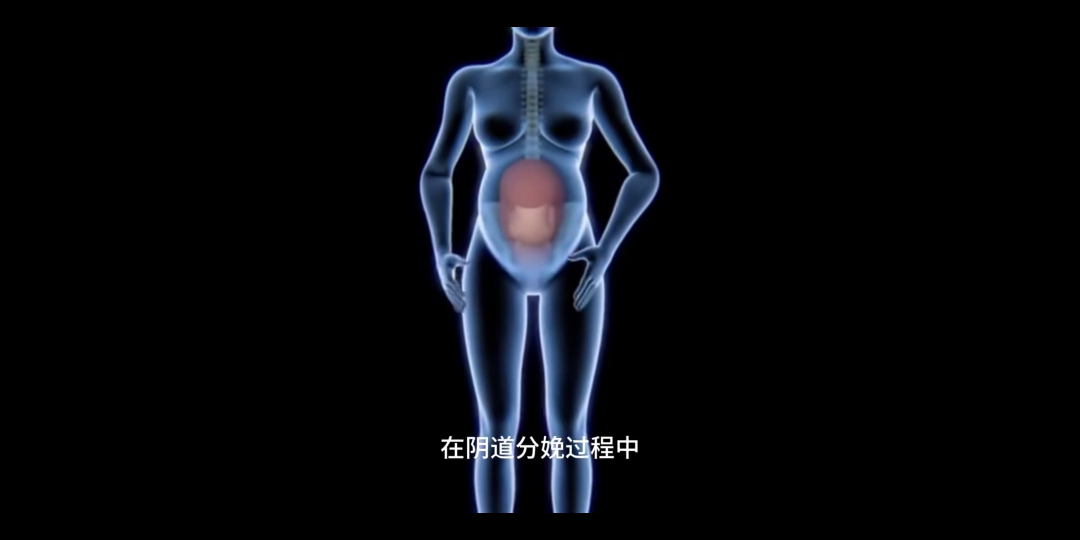 [图]女性自然分娩全过程