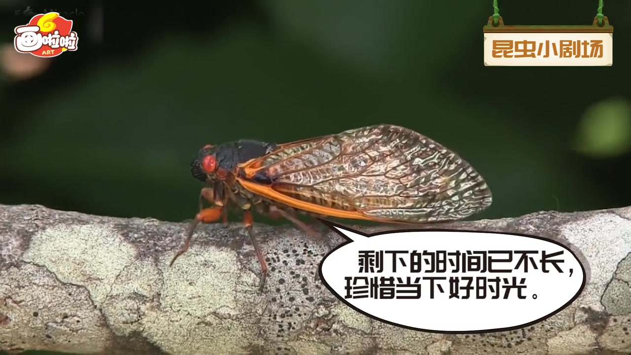 [图]【迈思龙】昆虫世界总动员（长按“点赞”2秒钟，谢谢转发一次）