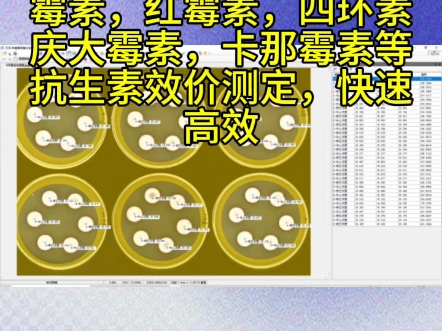 六碟抗生素效价测定仪一次做样六倍效率提升广泛应用于链霉素,土霉素,红霉素,四环素庆大霉素,卡那霉素等抗生素效价测定,快速高效哔哩哔哩bilibili