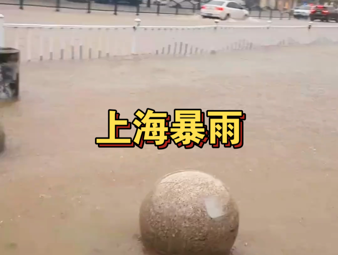 上海暴雨哔哩哔哩bilibili