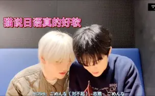 Download Video: 【煮事】互相教方言的小猫小狗，我说你们小情侣就是不一样