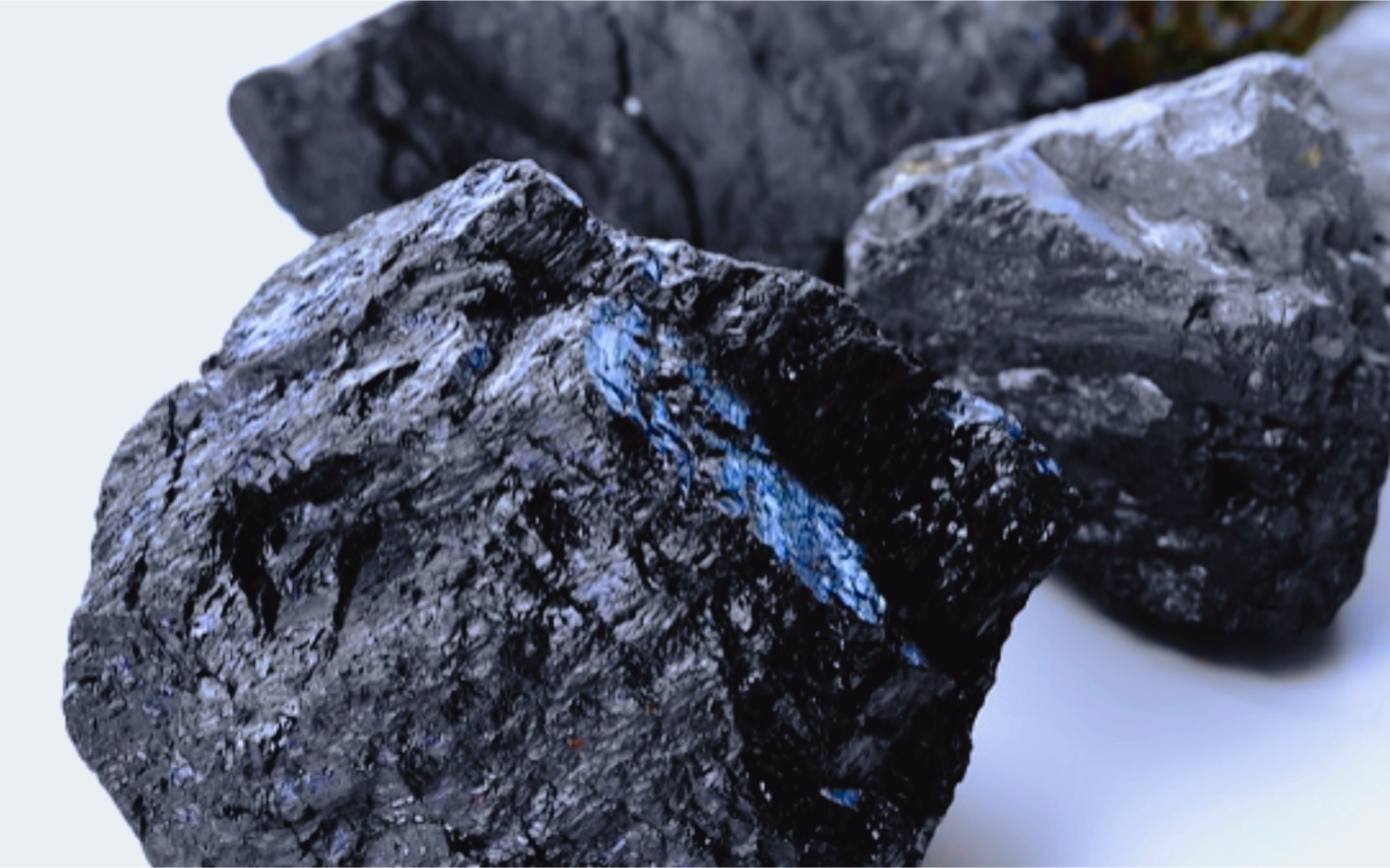 采购 动力煤 电煤