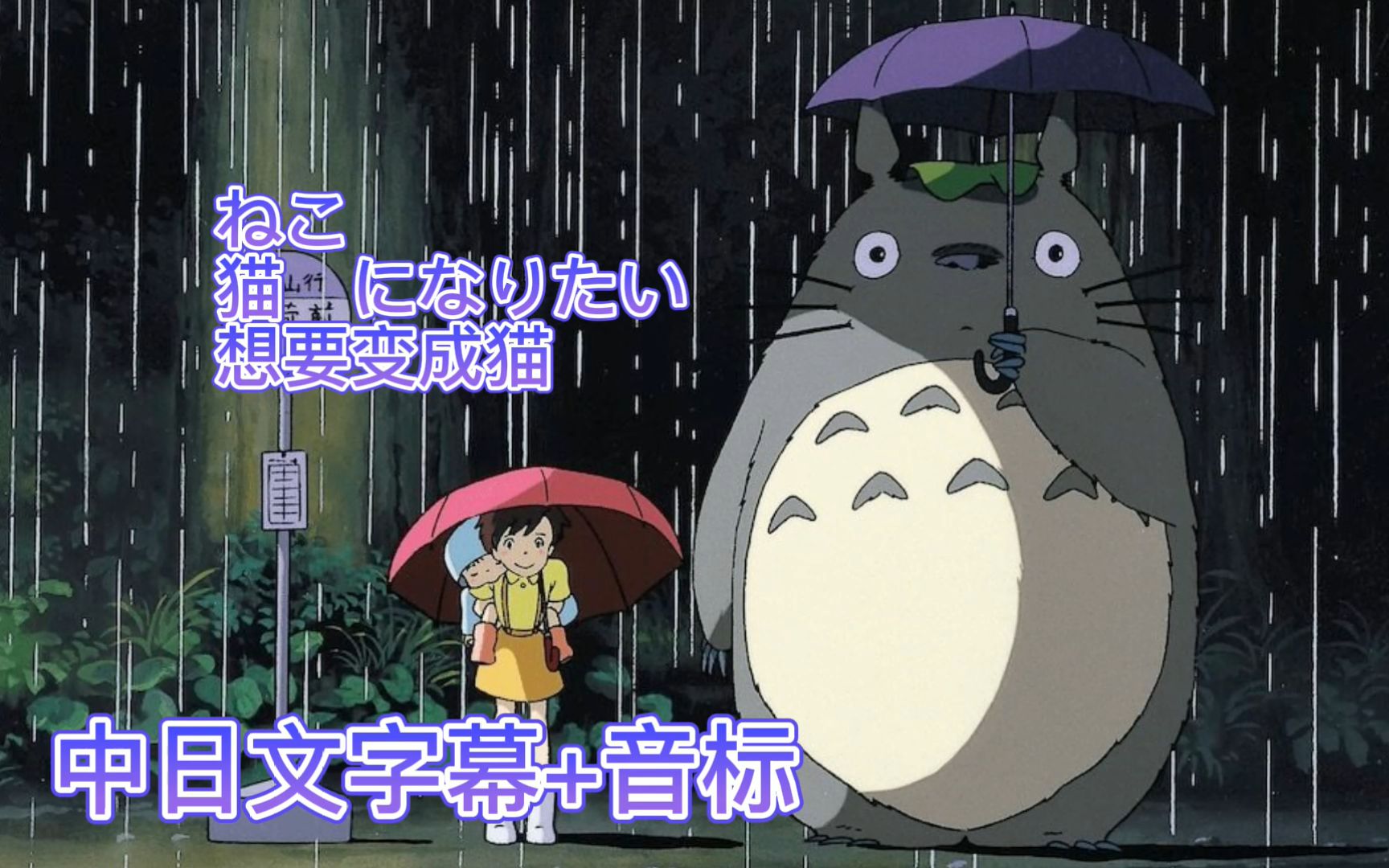 想要变成猫「猫になりたい」日语歌曲,中日双语字幕 音标