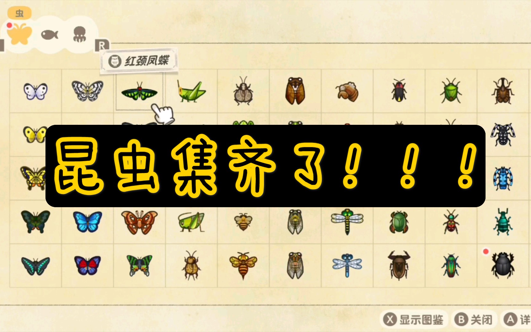 【动物森友会】所有的昆虫集齐了会如何?_哔哩哔哩_bilibili