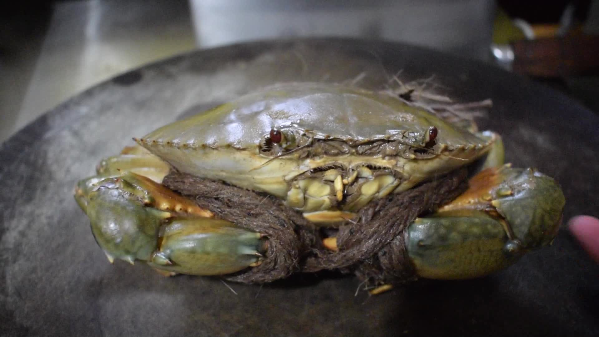 蠢萌萌青蟹,用非洲鼓为你打call