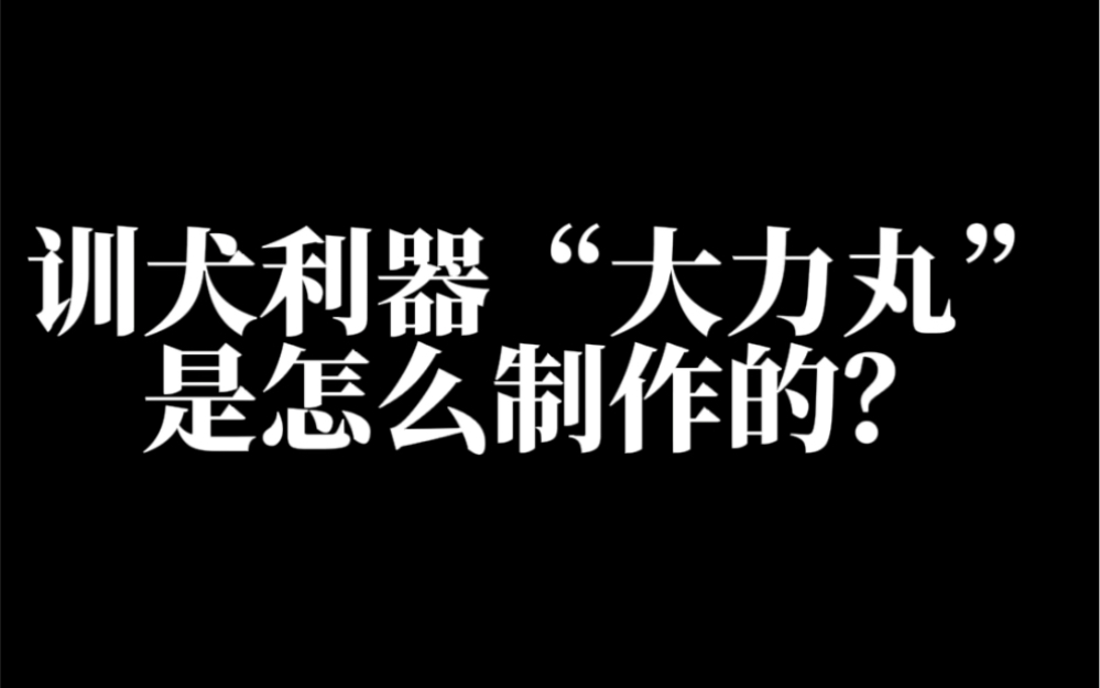 今天给大家分享一下我们的训犬利器“大力丸”的制作秘方,方法简单又实用,你们也会亲自动手给自己的爱宠制作美食吗,评论区分享一下吧哔哩哔哩...