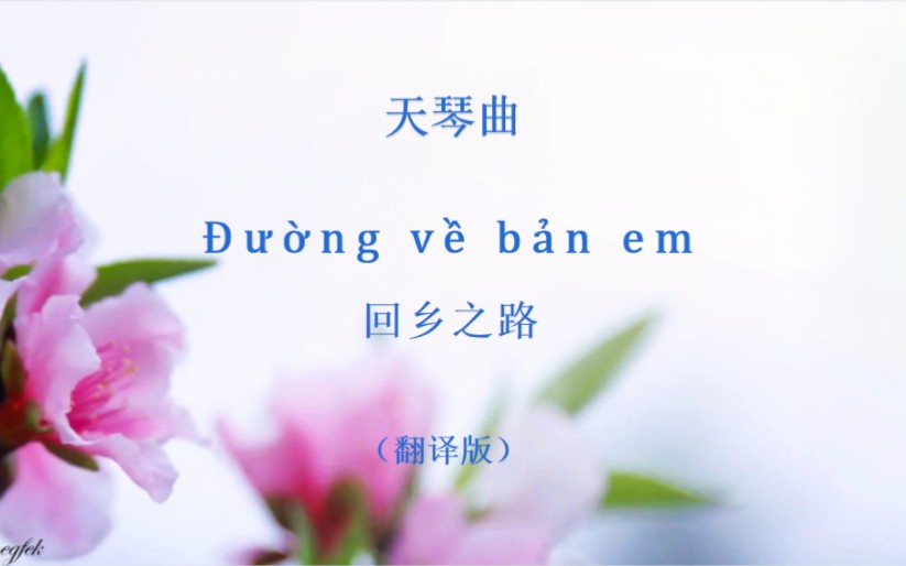 [图]天琴曲：《Đường về bản em》（ 回乡之路） 越南（岱侬）文壮文汉文翻译版